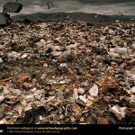 garbage-landfill-100522-sw