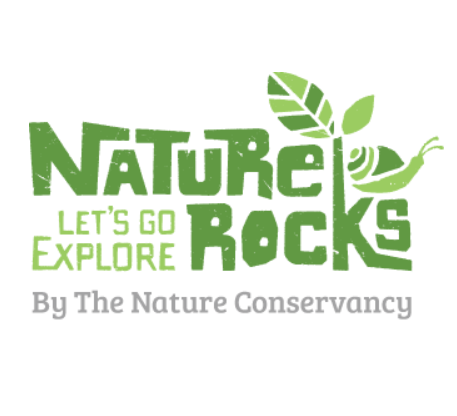 nature rocks